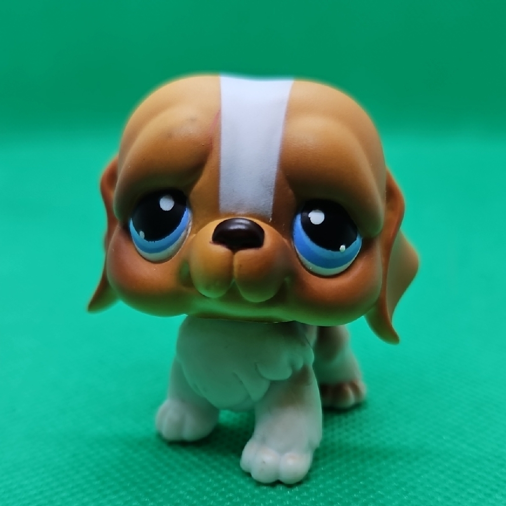 LPS St Bernard #76 (retired)